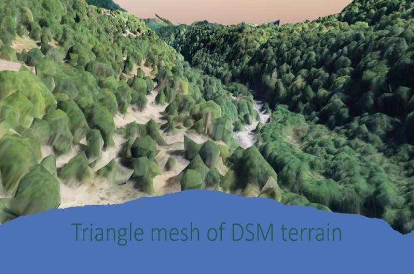 These software technologies are particularly useful for challenging landscapes as they can filter out high vegetation, buildings, and other objects while generating contours. 
